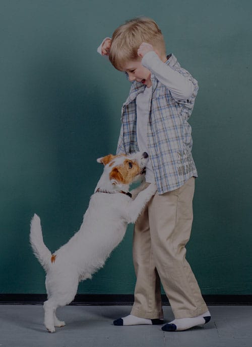 A small child in beige pants, a blue plaid shirt, and striped socks joyfully interacts with a small white dog with brown patches. The dog stands on its hind legs, reaching up towards the child with its front paws as if they were at a vet's office. The background is a solid green color.